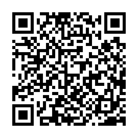 QR code for N10733