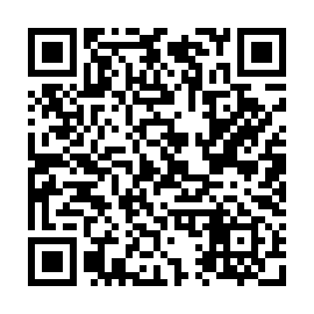 QR code for N11599