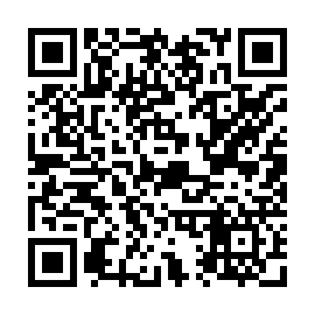 QR code for N11827