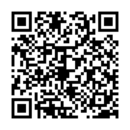 QR code for N120313