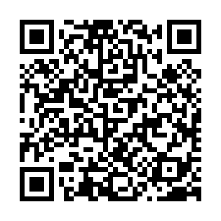 QR code for N12039