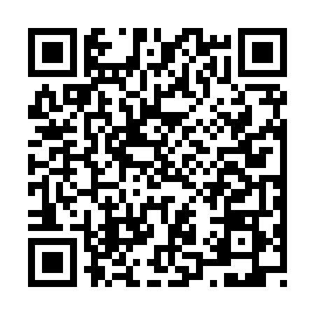 QR code for N128487