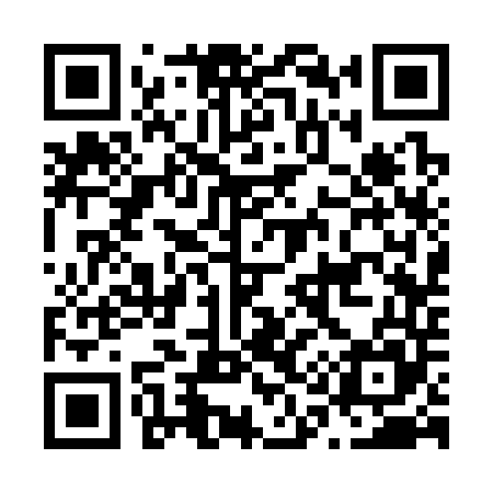 QR code for N13345