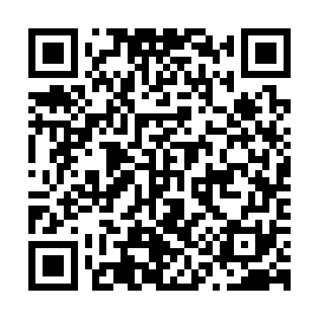 QR code for N13371
