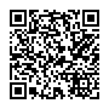 QR code for N13667