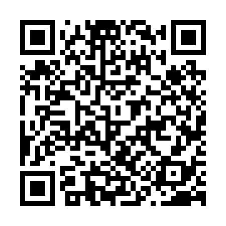 QR code for N16238