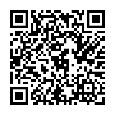 QR code for N163941