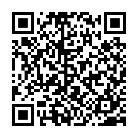 QR code for N17224