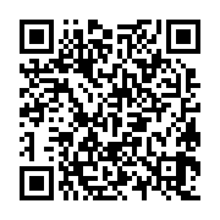 QR code for N17289