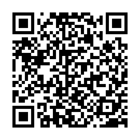 QR code for N17308