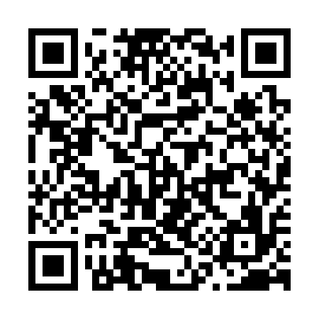 QR code for N17316