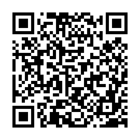QR code for N17476
