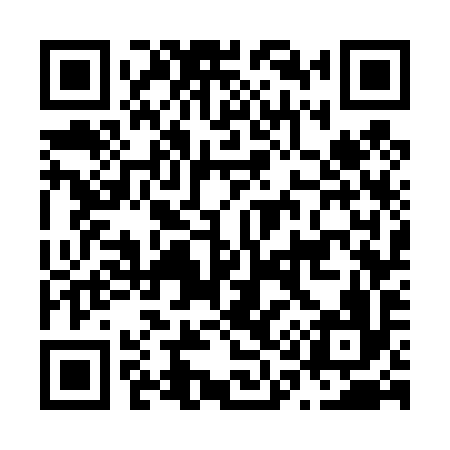 QR code for N17496