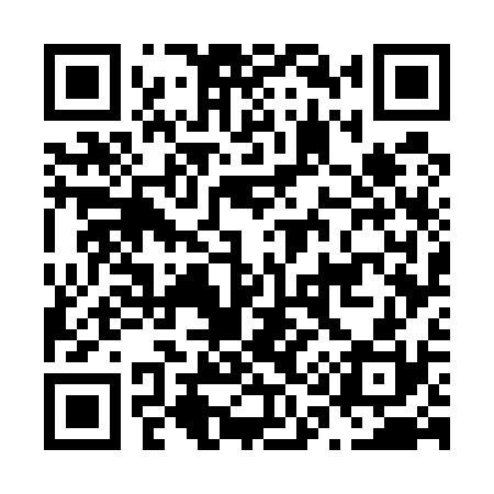 QR code for N17530