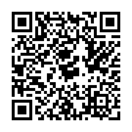 QR code for N196325