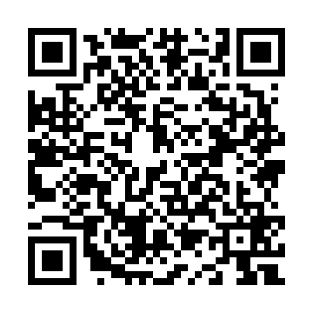 QR code for N196694