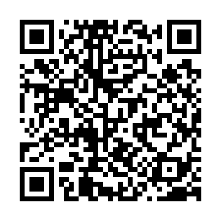 QR code for N19739