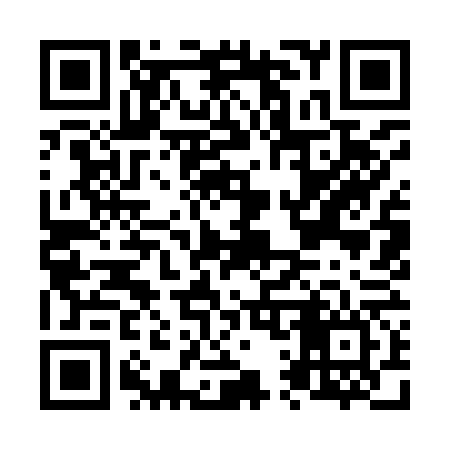 QR code for N19966