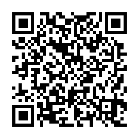 QR code for N20331