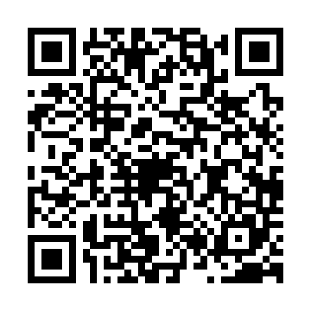 QR code for N203453