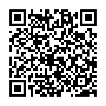 QR code for N203707