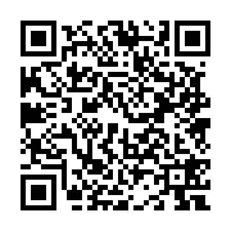 QR code for N205286