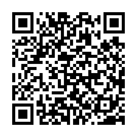 QR code for N20631