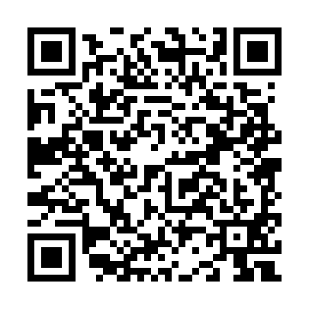 QR code for N207919