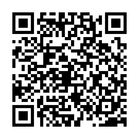 QR code for N213706