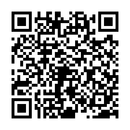 QR code for N217001