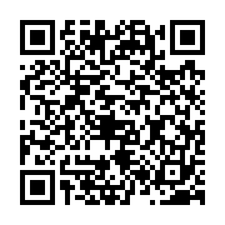 QR code for N217739