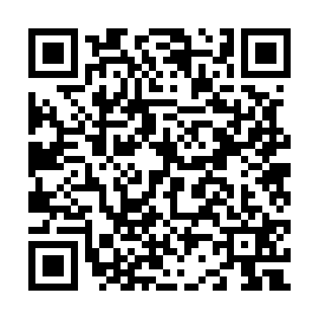 QR code for N225216
