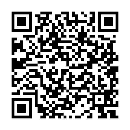 QR code for N225994