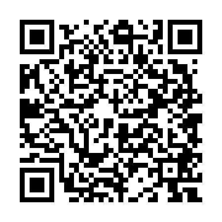 QR code for N246483