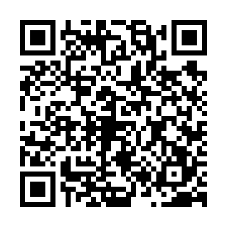 QR code for N266263