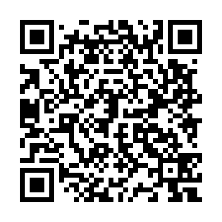 QR code for N28539