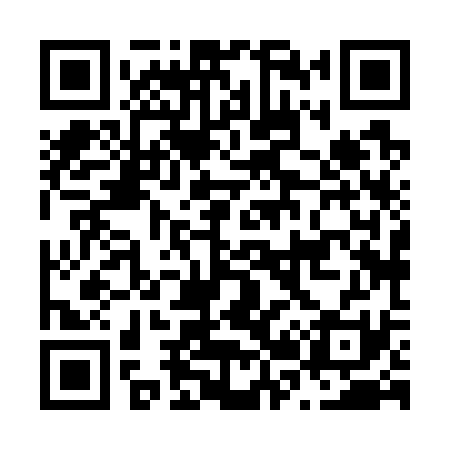 QR code for N28731