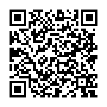 QR code for N290369