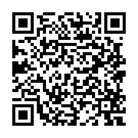 QR code for N290871