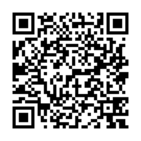 QR code for N291785