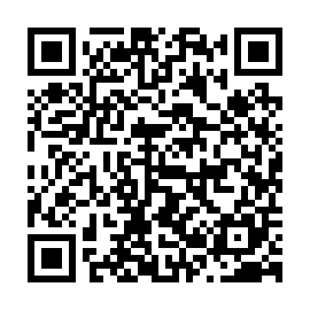QR code for N29205