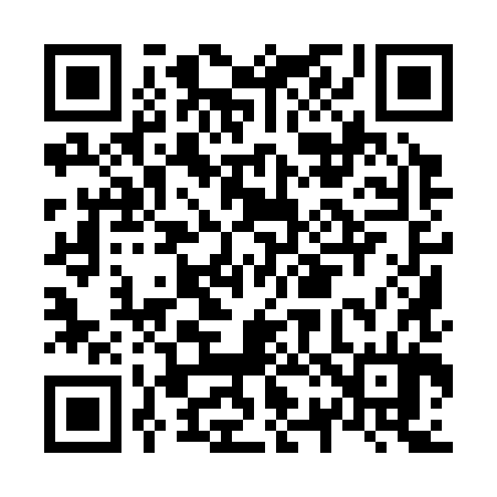 QR code for N29384