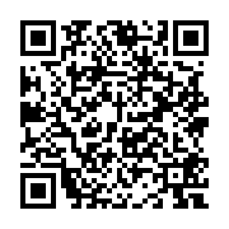 QR code for N295080