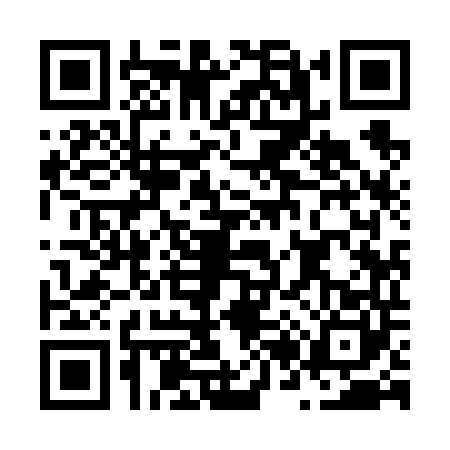 QR code for N296402