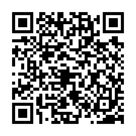QR code for N296933