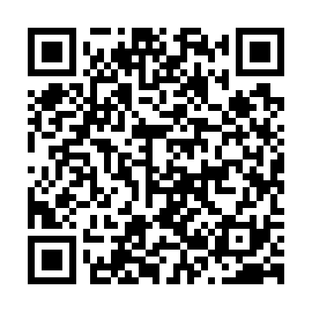 QR code for N29731