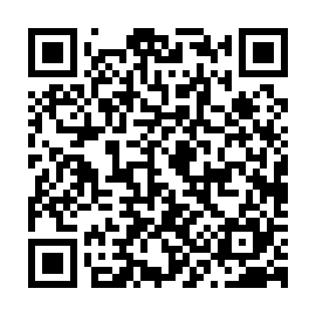 QR code for N30125