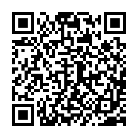 QR code for N30393