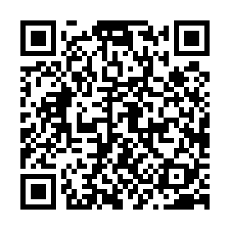 QR code for N30529