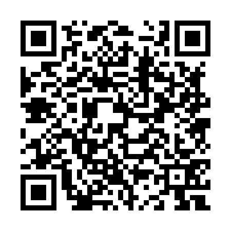 QR code for N308739